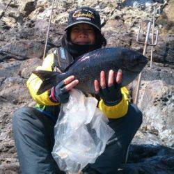 鵜来島家本渡船 釣果