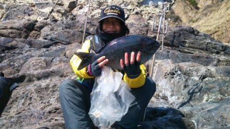鵜来島家本渡船 釣果