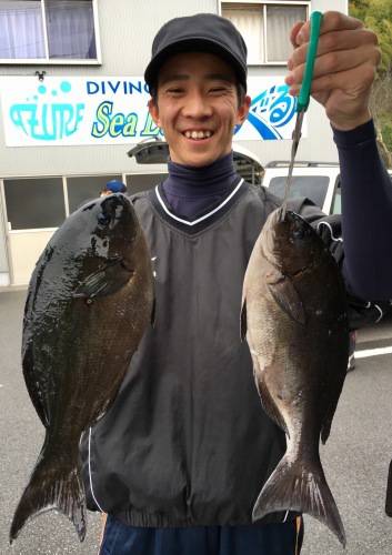 鵜来島家本渡船 釣果