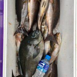 鵜来島家本渡船 釣果