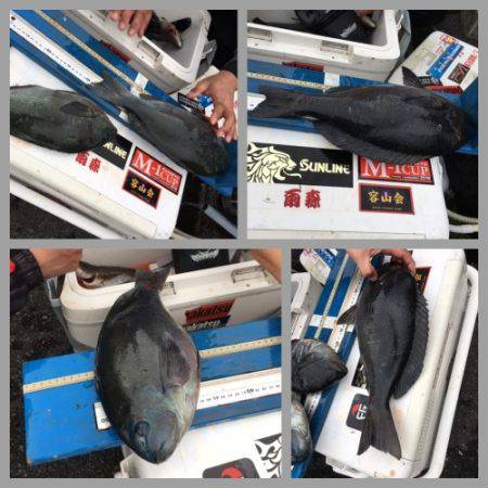 鵜来島家本渡船 釣果