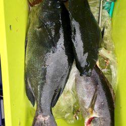 鵜来島家本渡船 釣果