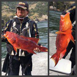 鵜来島家本渡船 釣果