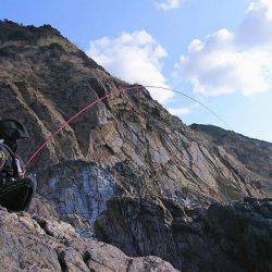 鵜来島家本渡船 釣果