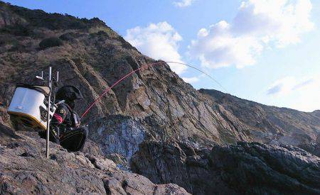 鵜来島家本渡船 釣果
