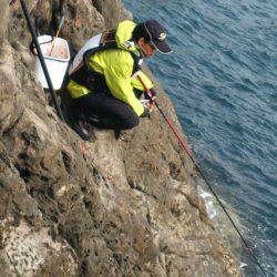 鵜来島家本渡船 釣果