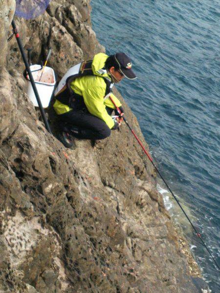 鵜来島家本渡船 釣果