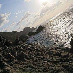 鵜来島家本渡船 釣果