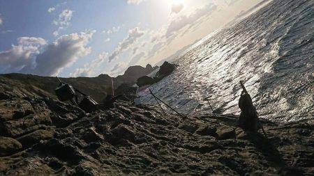 鵜来島家本渡船 釣果