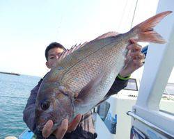 久里浜黒川本家 釣果