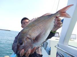 久里浜黒川本家 釣果