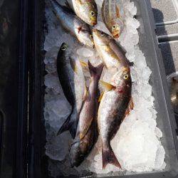 第二大福丸 釣果