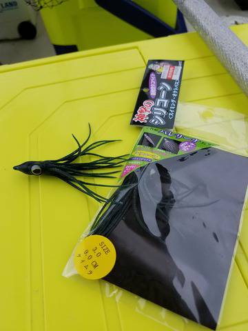 遊漁船 ニライカナイ 釣果