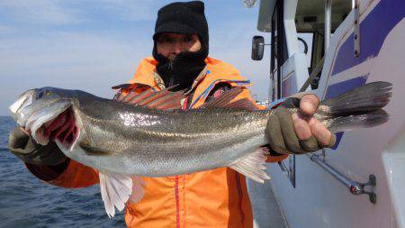 浜新丸 釣果