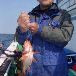 第二むつ漁丸 釣果