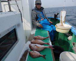 久里浜黒川本家 釣果