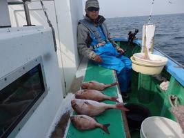 久里浜黒川本家 釣果