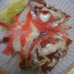 東京湾探釣隊ぼっち 釣果