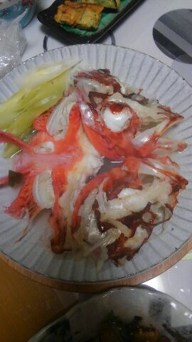 東京湾探釣隊ぼっち 釣果