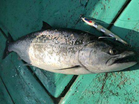 広進丸 釣果