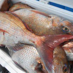 こうゆう丸 釣果