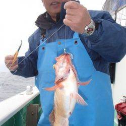 第二むつ漁丸 釣果