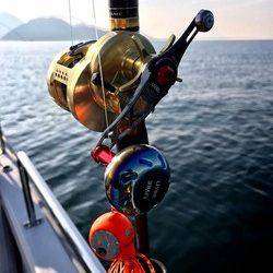 YELLOW-TAIL　イエローテール 釣果