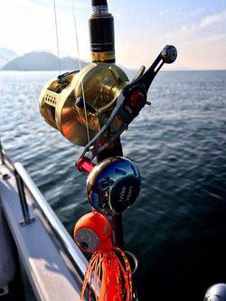 YELLOW-TAIL　イエローテール 釣果