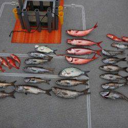 へいみつ丸 釣果