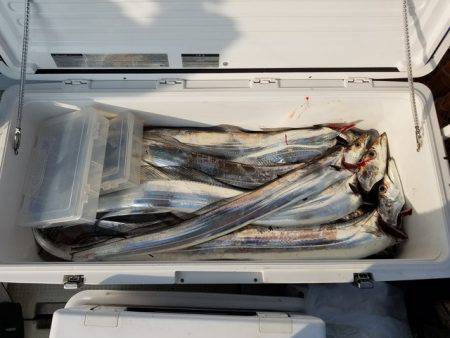 遊漁船　ニライカナイ 釣果