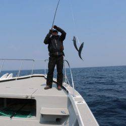 へいみつ丸 釣果