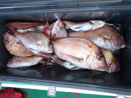 第二むつ漁丸 釣果