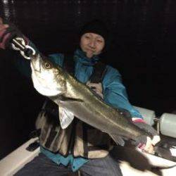 シーマジカル 釣果