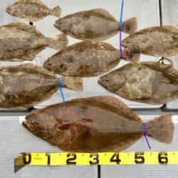 さんさん丸 釣果