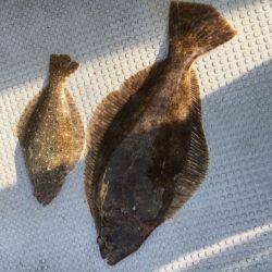 さんさん丸 釣果