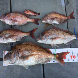 さんさん丸 釣果