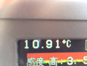 シーモンキー 釣果