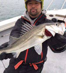 シーモンキー 釣果