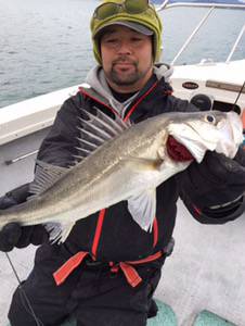 シーモンキー 釣果