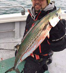 シーモンキー 釣果