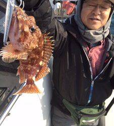 シーモンキー 釣果