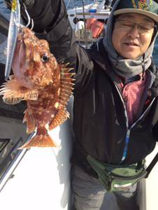 シーモンキー 釣果