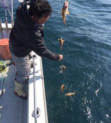 シーモンキー 釣果