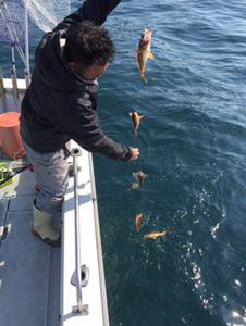 シーモンキー 釣果