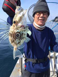 シーモンキー 釣果