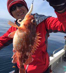 シーモンキー 釣果