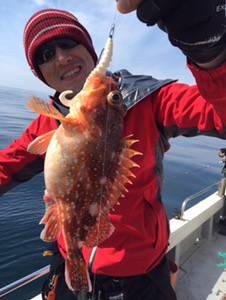 シーモンキー 釣果