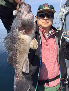 シーモンキー 釣果