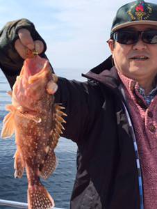 シーモンキー 釣果