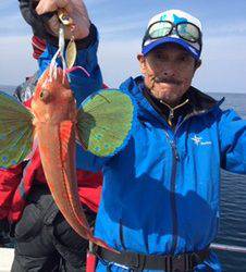 シーモンキー 釣果